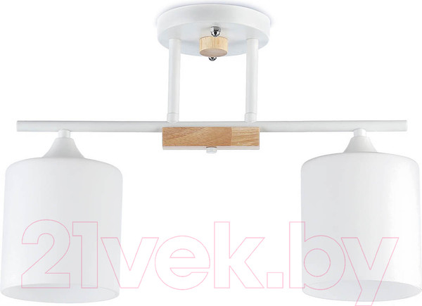 Изображение товара Потолочный светильник Mirastyle SX-N-9204/2 WT