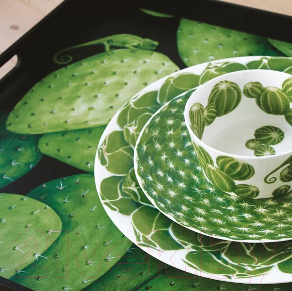 Изображение товара Блюдо Taitu Cactus 5-5-6
