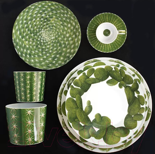 Изображение товара Блюдо Taitu Cactus 5-5-6