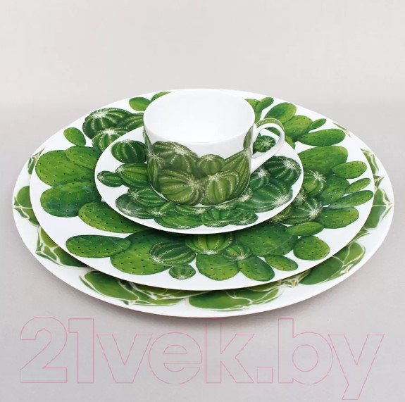 Изображение товара Блюдо Taitu Cactus 5-5-6