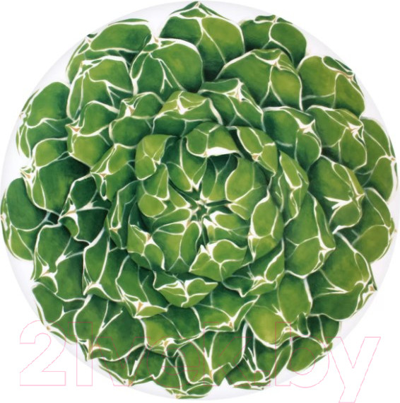 Изображение товара Блюдо Taitu Cactus 5-5-6