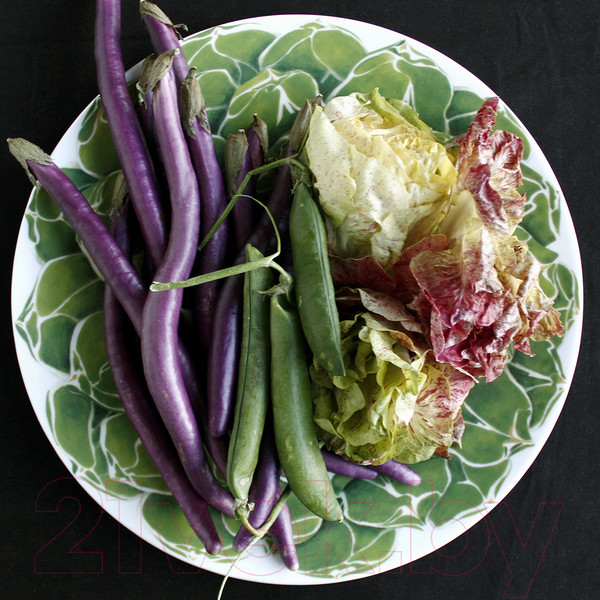 Изображение товара Блюдо Taitu Cactus 5-5-6