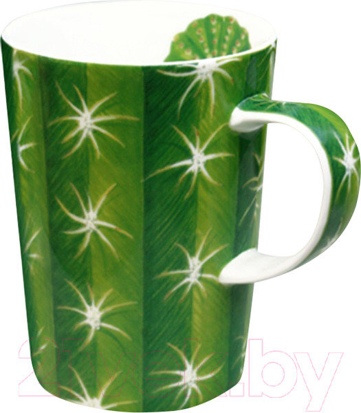 Изображение товара Кружка Taitu Cactus 5-5-4