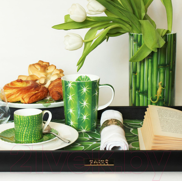 Изображение товара Кружка Taitu Cactus 5-5-4