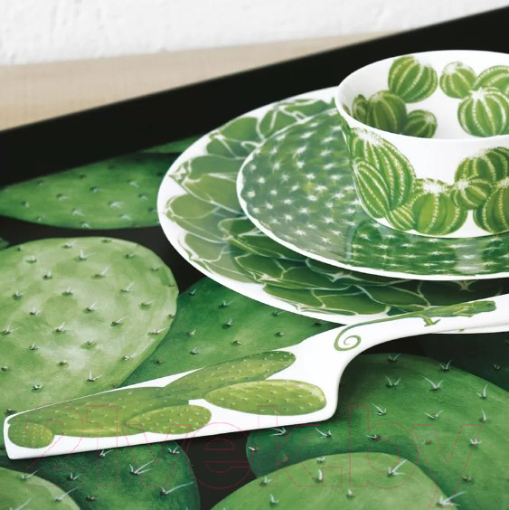 Изображение товара Салатник Taitu Cactus 5-5-50