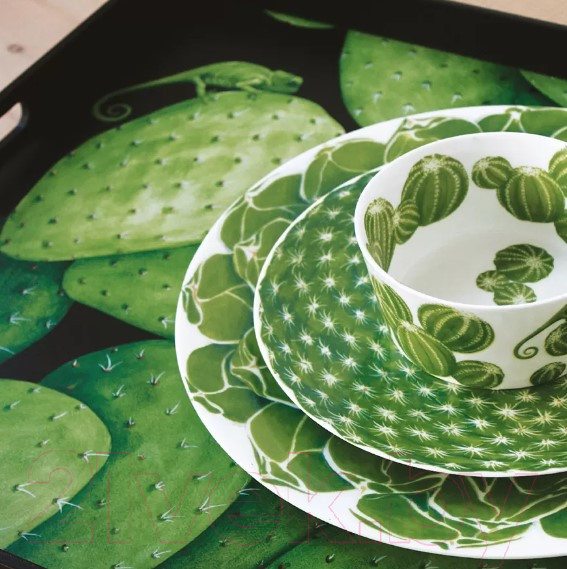 Изображение товара Салатник Taitu Cactus 5-5-50