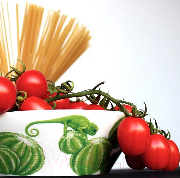 Изображение товара Салатник Taitu Cactus 5-5-72