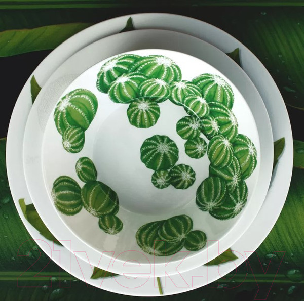 Изображение товара Салатник Taitu Cactus 5-5-72