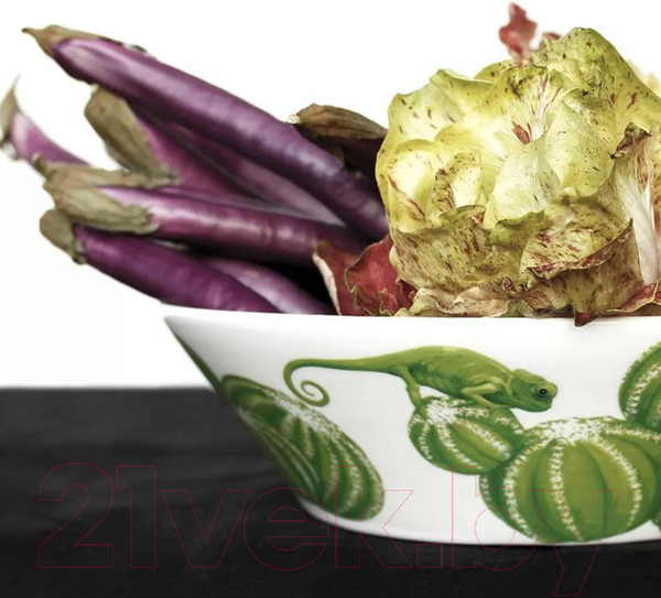 Изображение товара Салатник Taitu Cactus 5-5-72