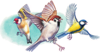 Изображение товара Книга АСТ Лисичкин хлеб. Рассказы. Библиотека начальной школы (Пришвин Михаил)