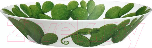 Изображение товара Салатник Taitu Cactus 5-5-71