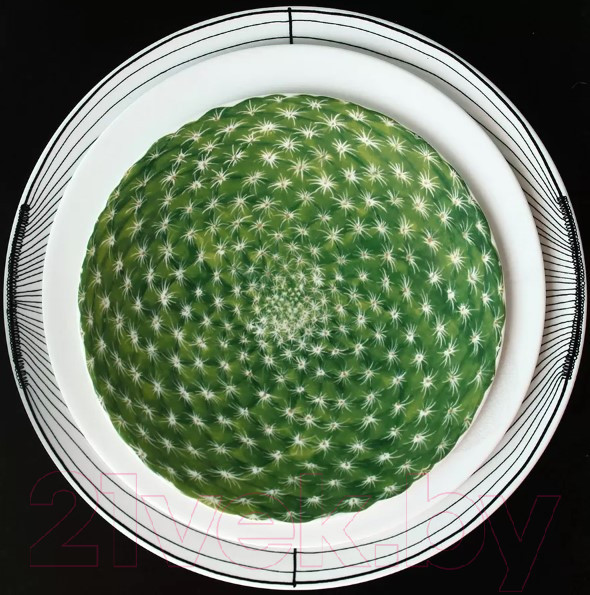 Изображение товара Тарелка столовая обеденная Taitu Cactus 5-5-1