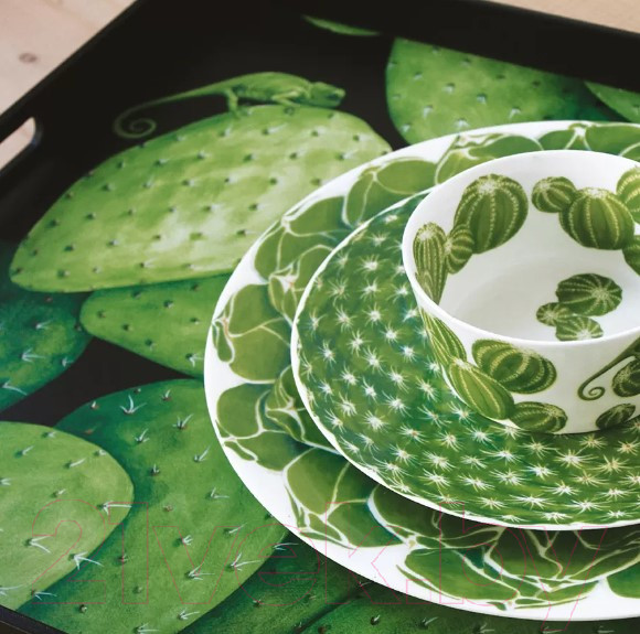 Изображение товара Тарелка столовая обеденная Taitu Cactus 5-5-0