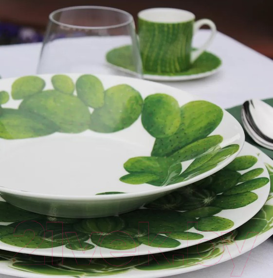 Изображение товара Суповая тарелка Taitu Cactus 5-5-5