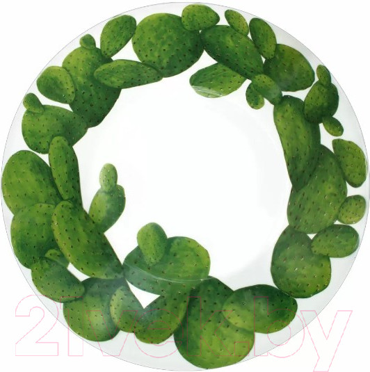 Изображение товара Суповая тарелка Taitu Cactus 5-5-5