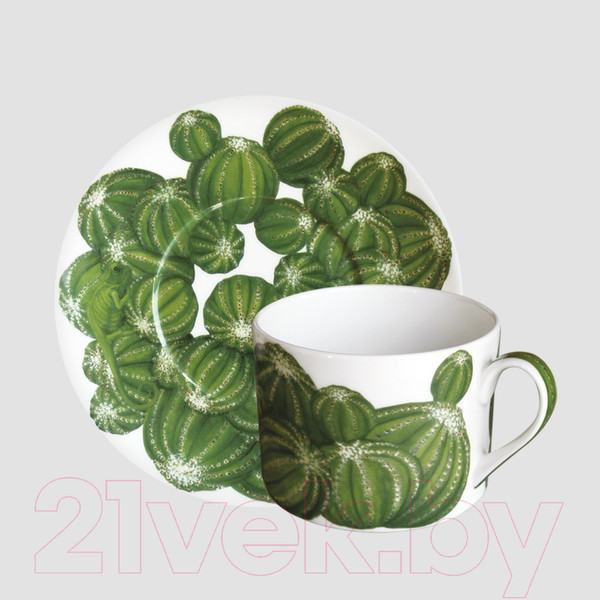 Изображение товара Чашка с блюдцем Taitu Cactus 5-5-2
