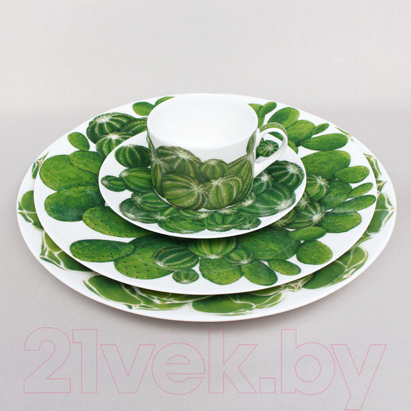 Изображение товара Чашка с блюдцем Taitu Cactus 5-5-2