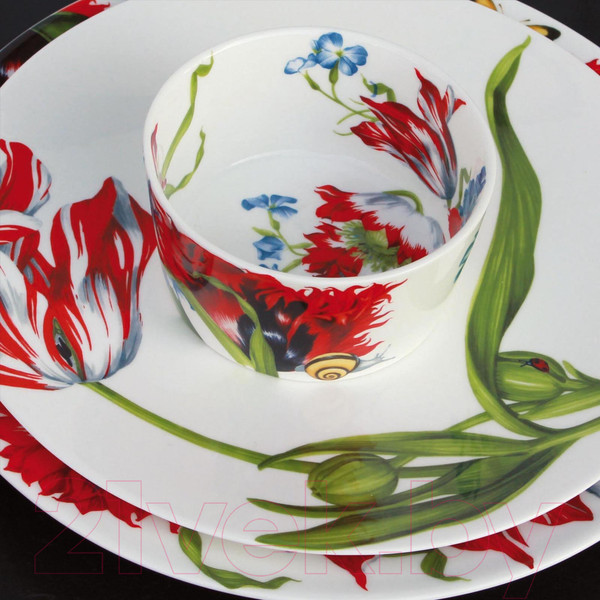 Изображение товара Тарелка столовая обеденная Taitu Emotion 5-8-0