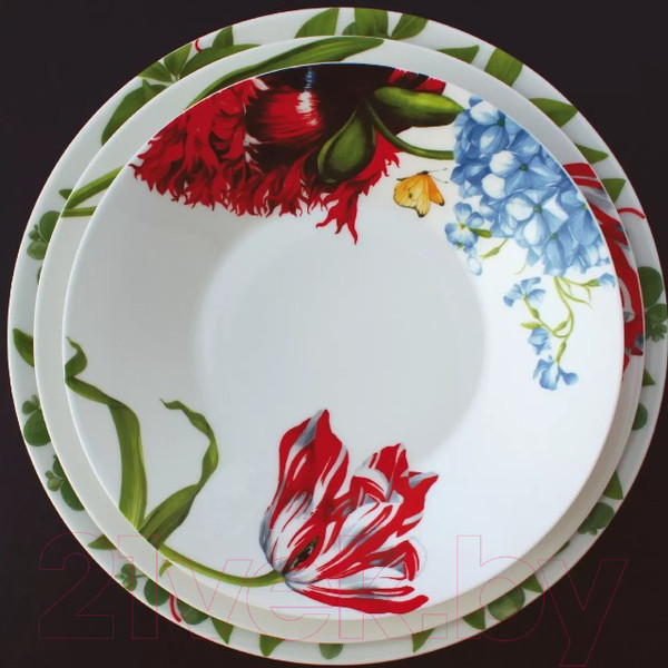 Изображение товара Суповая тарелка Taitu Emotion 5-8-5