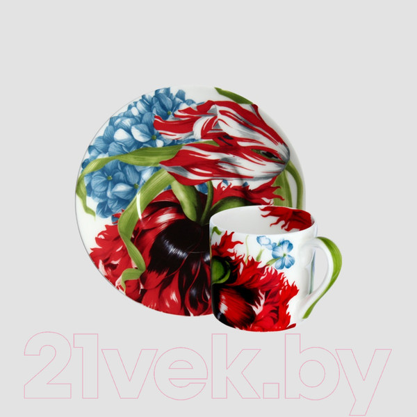 Изображение товара Чашка с блюдцем Taitu Emotion 5-8-91