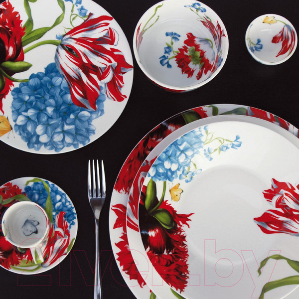 Изображение товара Чашка с блюдцем Taitu Emotion 5-8-91