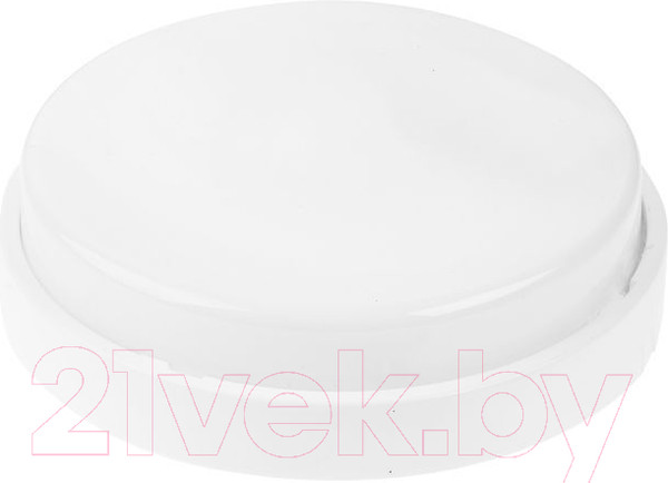 Изображение товара Светильник ЖКХ Юпитер JP1310-02