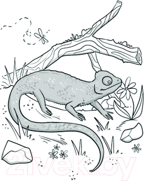 Изображение товара Книга АСТ ЖЕСТь рептилий. Как понимать язык хладнокровных (Кузнецова Е.А.)