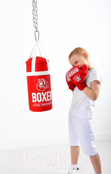 Изображение товара Набор для бокса детский Leader Toys №1А / 95818