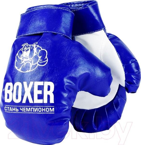 Изображение товара Набор для бокса детский Leader Toys №1 / 11516