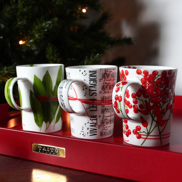 Изображение товара Кружка Taitu Fil Rouge Foglie 5-14