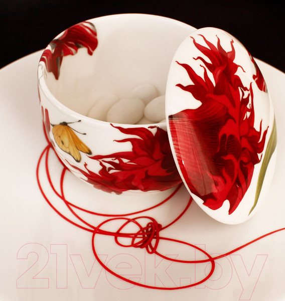 Изображение товара Тарелка столовая обеденная Taitu Fil Rouge Nodi 5-41