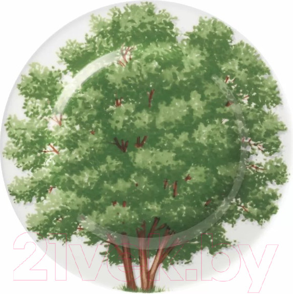 Изображение товара Тарелка закусочная (десертная) Taitu Freedom Wood 1-83-C