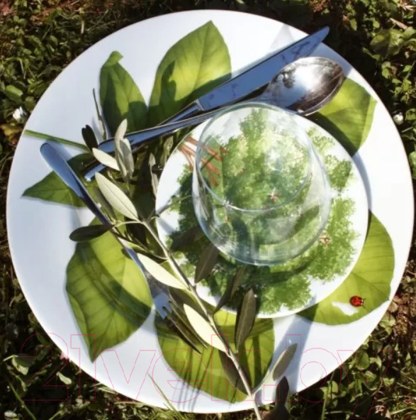 Изображение товара Тарелка закусочная (десертная) Taitu Freedom Wood 1-83-C