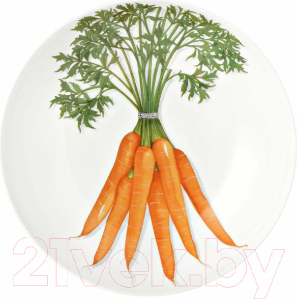 Изображение товара Тарелка столовая глубокая Taitu Freedom Vegetable 1-85-D (оранжевый)