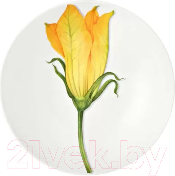 Изображение товара Тарелка столовая глубокая Taitu Freedom Vegetable 1-85-A (желтый)