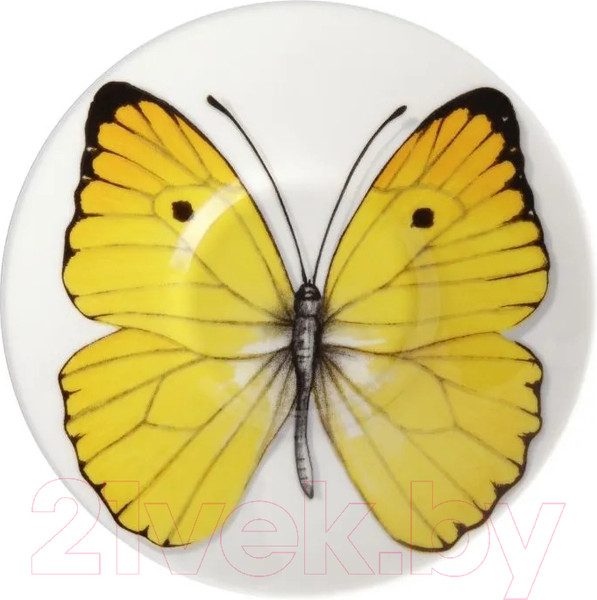 Изображение товара Чашка с блюдцем Taitu Freedom Butterfly 1-891-A (желтый)