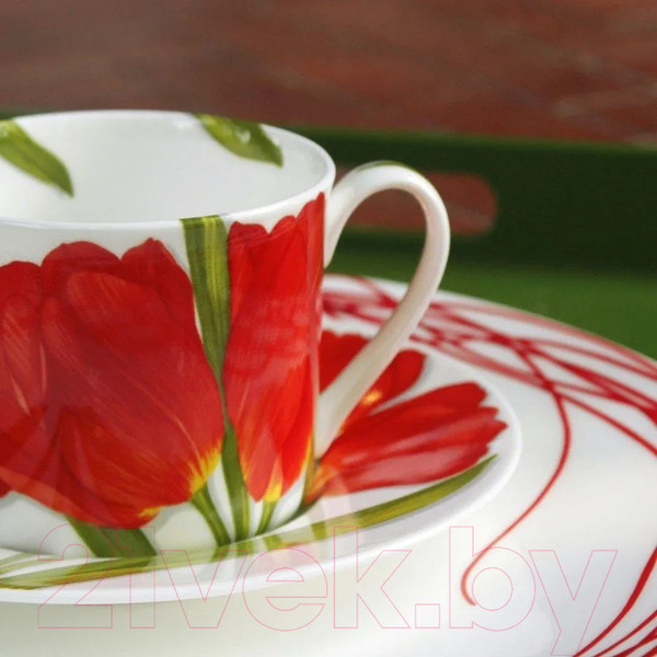 Изображение товара Чашка с блюдцем Taitu Freedom Flower 1-82-C (красный)