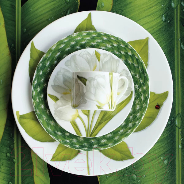 Изображение товара Чашка с блюдцем Taitu Freedom Flower 1-82-B (белый)