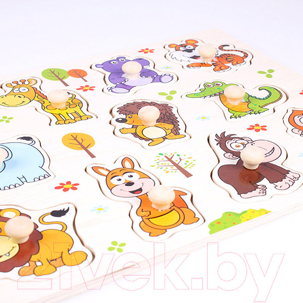 Изображение товара Развивающий игровой набор Darvish Животные / SR-T-2399