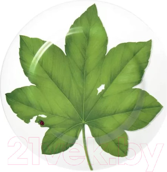 Изображение товара Блюдо Taitu Freedom Leaf 1-86-A