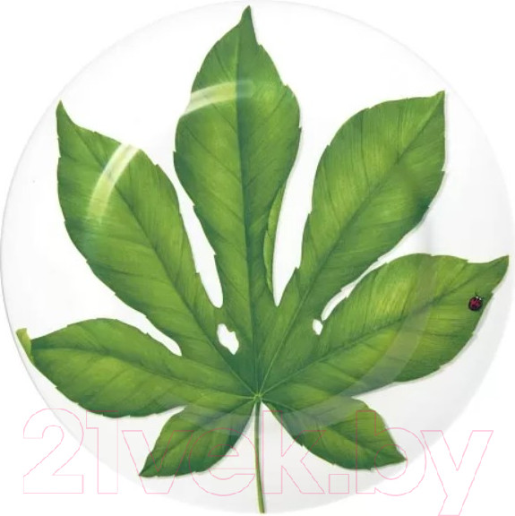 Изображение товара Блюдо Taitu Freedom Leaf 1-86-B