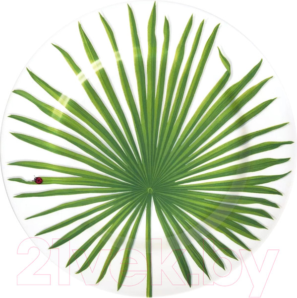 Изображение товара Блюдо Taitu Freedom Leaf 1-86-C