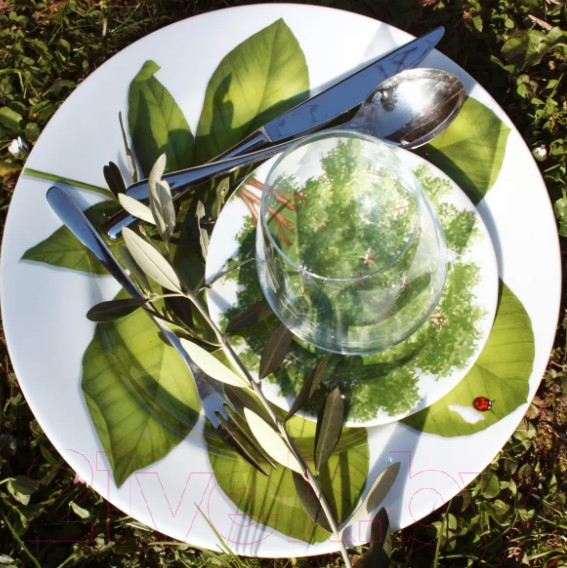 Изображение товара Блюдо Taitu Freedom Leaf 1-86-D