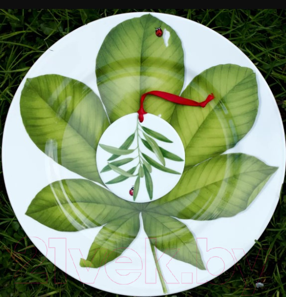 Изображение товара Блюдо Taitu Freedom Leaf 1-86-D