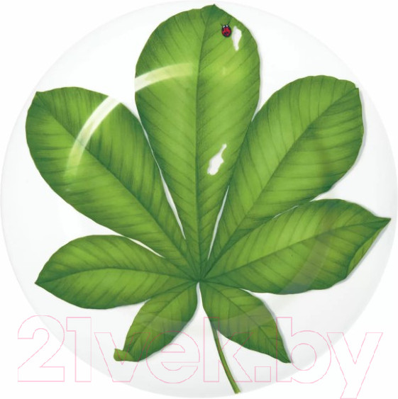Изображение товара Блюдо Taitu Freedom Leaf 1-86-D