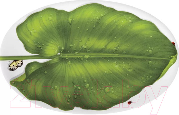 Изображение товара Блюдо Taitu Freedom 1-88