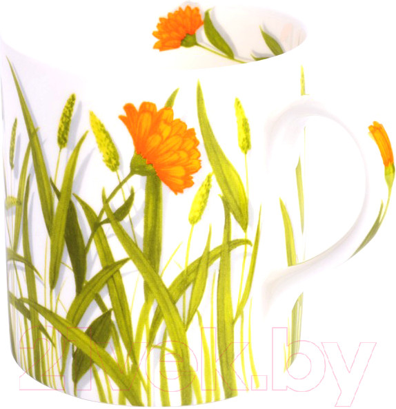 Изображение товара Кружка Taitu Freedom Herb 1-84-D (оранжевый)