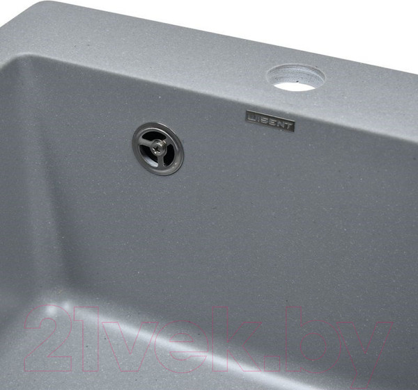 Изображение товара Мойка кухонная Wisent 420-29W (с сифоном GER013)