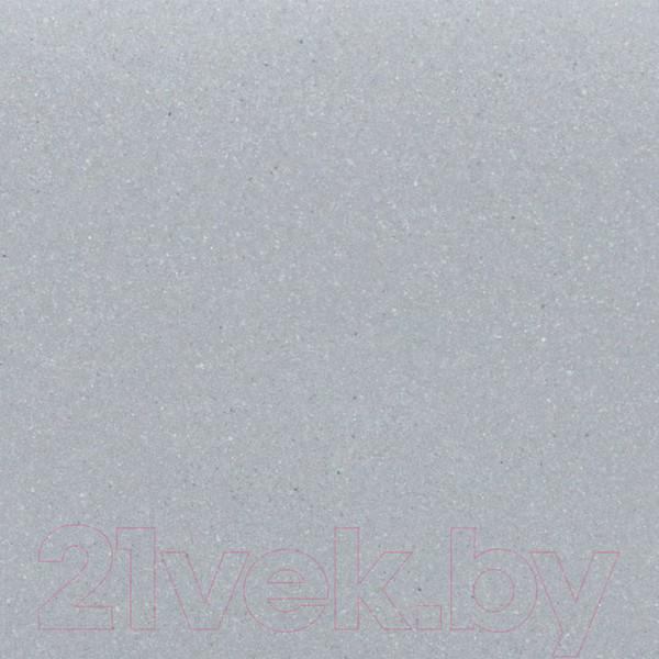 Изображение товара Мойка кухонная Wisent 510-29W (с сифоном GER013)