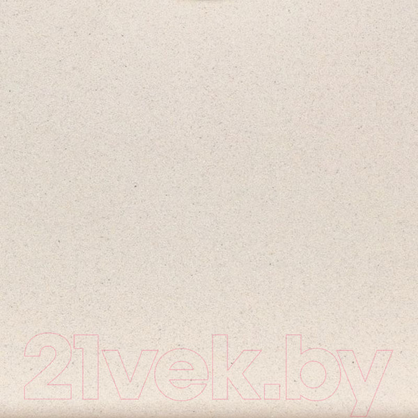 Изображение товара Мойка кухонная Wisent 510-30W (с сифоном GER013)